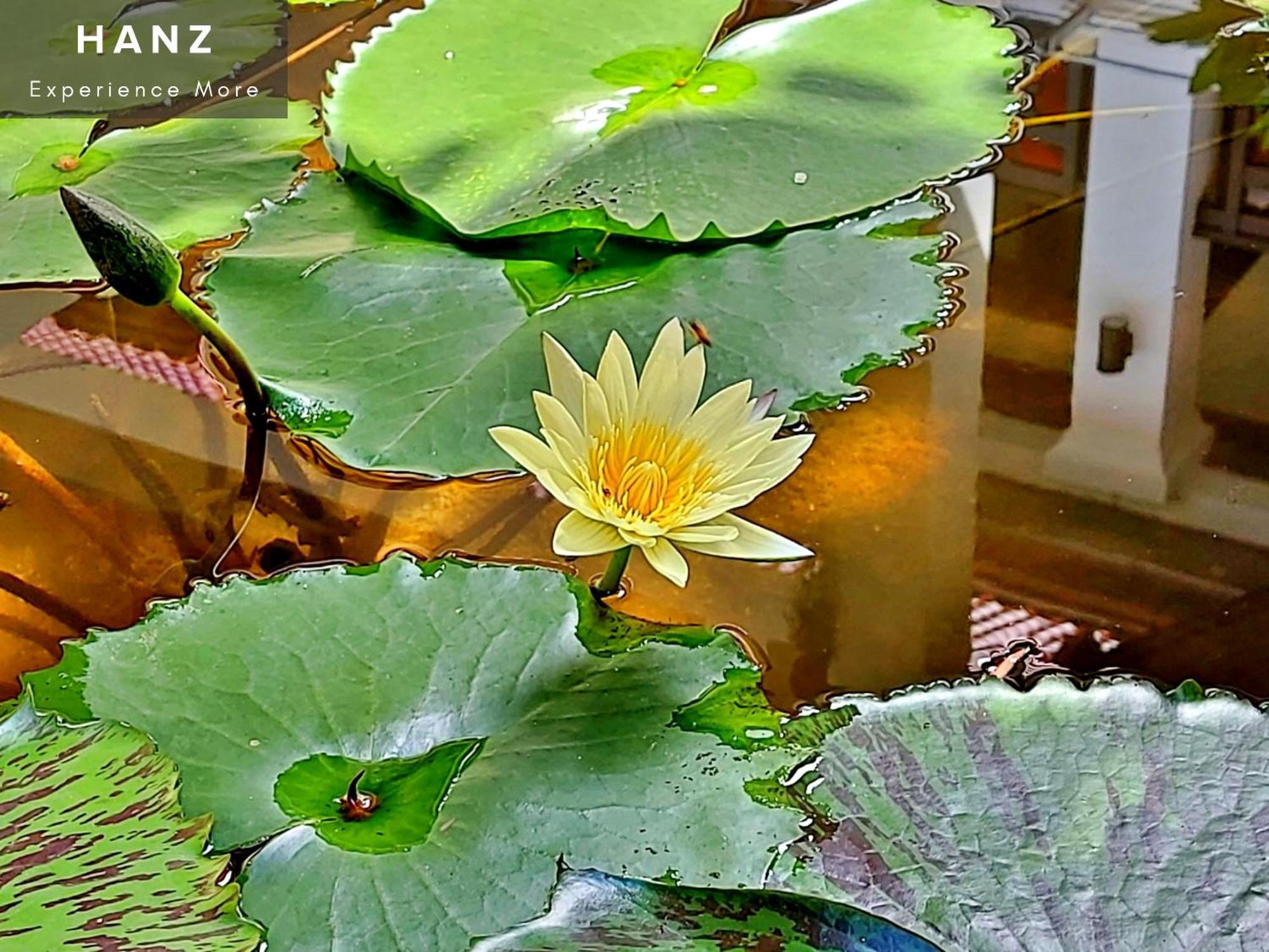 Sunrise Luang Prabang Hotel Kültér fotó