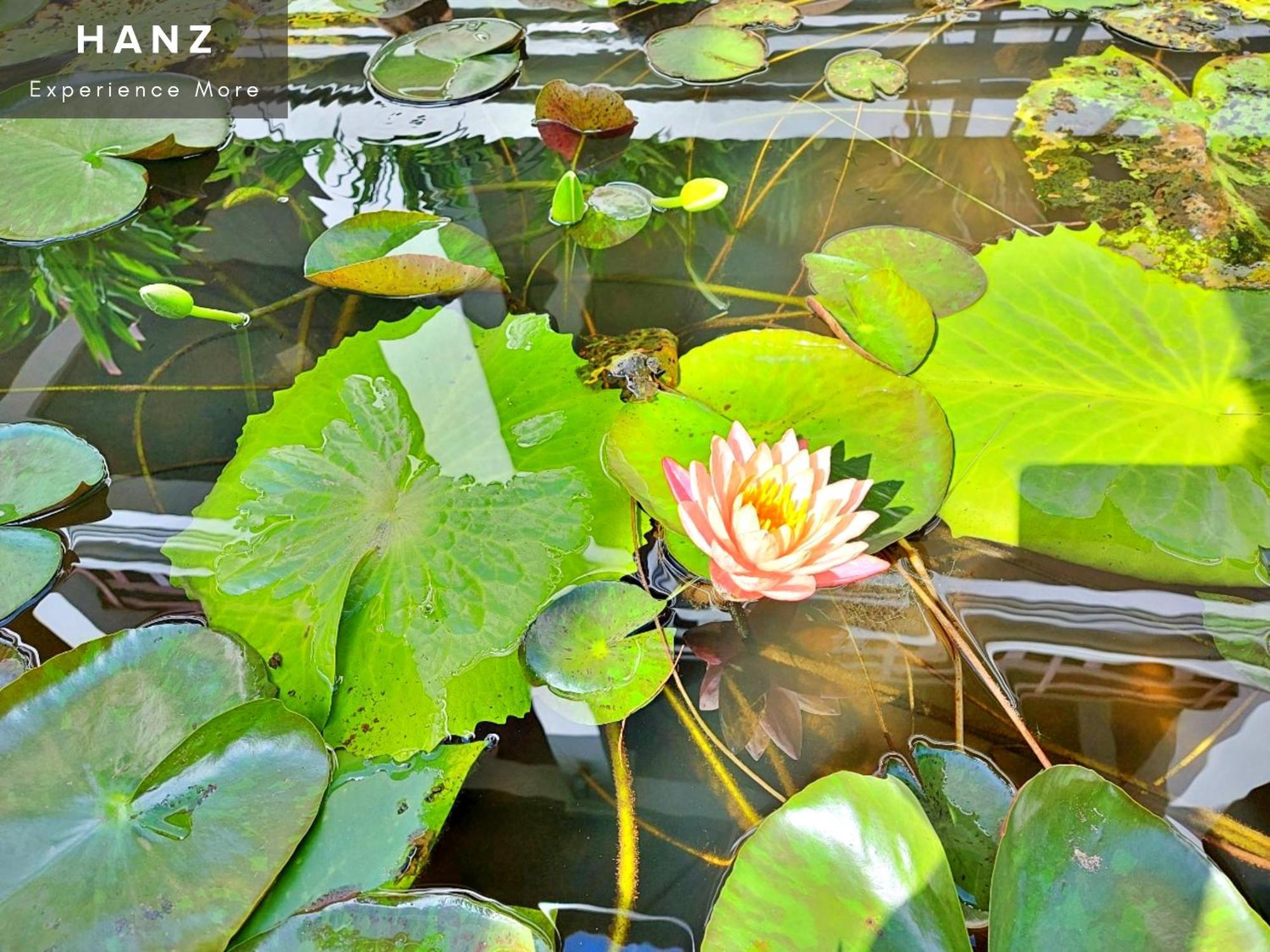 Sunrise Luang Prabang Hotel Kültér fotó